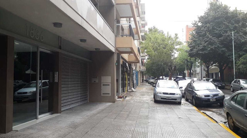 GAMARRA 1800